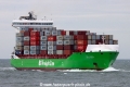 BG Green TL-100824-1.jpg