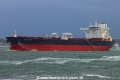 Front Ocelot TL-291121-1.jpg