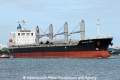 Atlantic Pearl RV-020911-01.jpg
