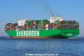 Ever Mega JG-190325-3.jpg