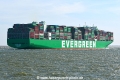 Ever Meed JG-010924-4.jpg