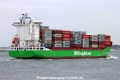 BG Green TL-100824-3.jpg