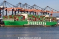 Ever Mega TL-260325-1.jpg