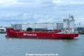 BG Red (MB-230724-1).jpg