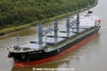 Atlantic Laurel RA-250914-01.jpg