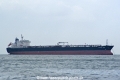 Hamburg Star (OS-250206-01).jpg