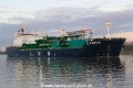 K Lotus (OK-280223-1).jpg