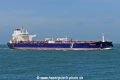 Hafnia Neso (MB-260525-5).jpg