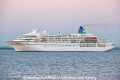 Amadea (OK-100508-1).jpg