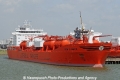 Bow Summer OS-220311-02.jpg