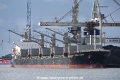 Basic Queen OS-011018-01.jpg