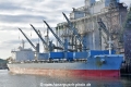 Dolphin Trader (KB-D041125-02).jpg