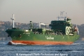 JS Chukar (OK-091013-2).jpg