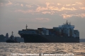 Box Queen 160914-02.jpg