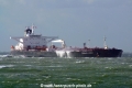 Genmar Argus (JS-030909-04).jpg