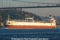 Hellespont Progress (OK-141013-2).jpg