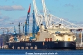 Castorone TL-020521-1.jpg