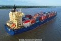 Burgundy TL-040822-3.jpg