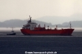 Jatai 250305.jpg