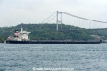 Emil (OK-150823-4).jpg