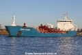 Bro Alma (MS-060116-09).jpg