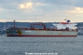 Indigo Sun (OK-070921-1).jpg