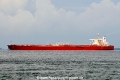Bunga Kasturi OS-200708-01.jpg