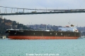 Izumo Princess (OK-280114-1).jpg