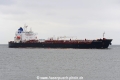 Clearocean Mustang JG-030524-2.jpg