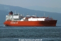 La Mancha Knutsen (MS-060816-11).jpg