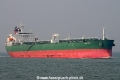 Hong Ze Hu OS-271008-01.jpg