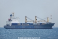 Da Fu OS-011117-01.jpg
