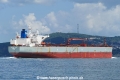 Indigo Sun (OK-110921-2).jpg