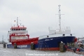Biscay Fin (OK-240324-0).jpg