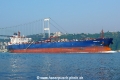 Isabella (OK-080608-0).jpg