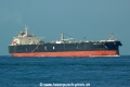 Izumo Princess (OK-080814-03).jpg