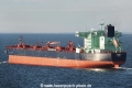 Jaarli (US-250923-1).jpg