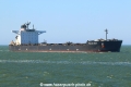 Frontier Rose TL-190322-3.jpg