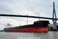 Genco Commodus (KB-D290715-02).jpg