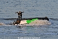 Dolphin 2 JG-020326-1.jpg