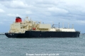 LNG Schneeweisschen (MB-220723-7).jpg