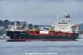 Bunga Lily (OK-140918-0).jpg