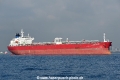 King Darwin OS-241018-06.jpg