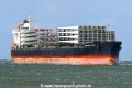 Capricorn Trader JG-200926-1.jpg