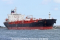 Bunga Melati 7 SH-150712-01.jpg