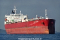 King Darwin OS-241018-01.jpg