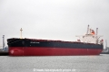Golden Hope (KB-D181214-01).jpg