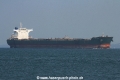 Han Fu Star (MS-261016-06).jpg
