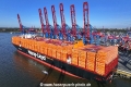 Hamburg Express MSchi-021124-02.jpg
