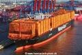 Hamburg Express MSchi-021124-03.jpg